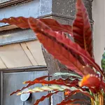 公寓 Le Passage Du Renard Pour 6 Personnes Avec Parking 鲁昂