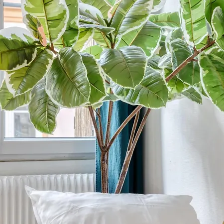 Le Passage Du Renard Pour 6 Personnes Avec Parking Apartamento