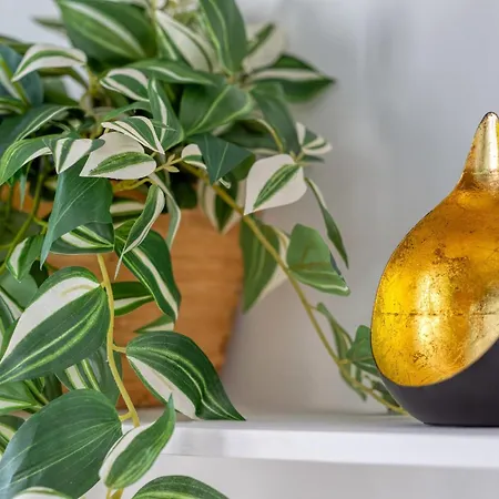 Le Passage Du Renard Pour 6 Personnes Avec Parking Rouen