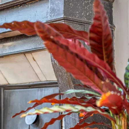 Appartement Le Passage Du Renard Pour 6 Personnes Avec Parking Rouen