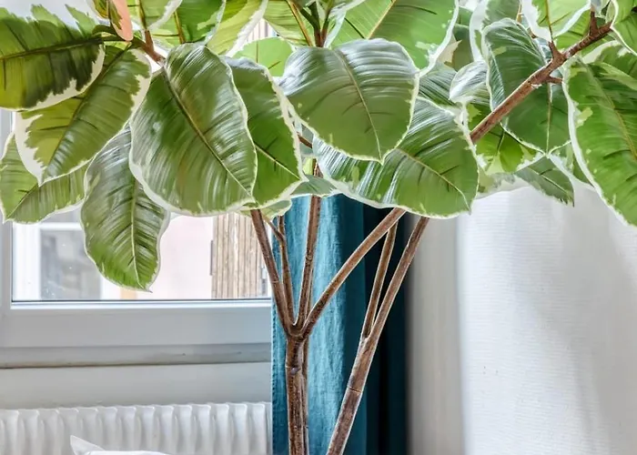 Le Passage Du Renard Pour 6 Personnes Avec Parking Apartman