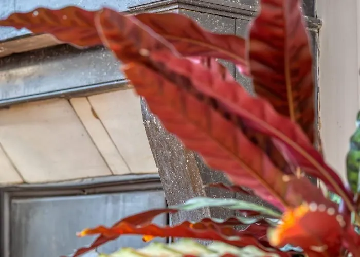 Apartman Le Passage Du Renard Pour 6 Personnes Avec Parking Rouen