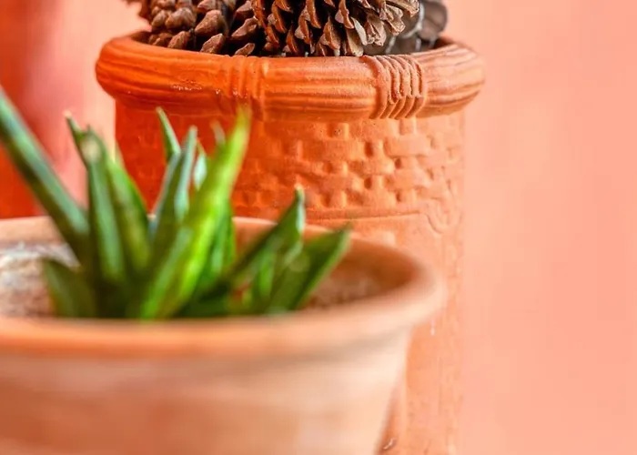 Le Passage Du Renard Pour 6 Personnes Avec Parking Apartmán *